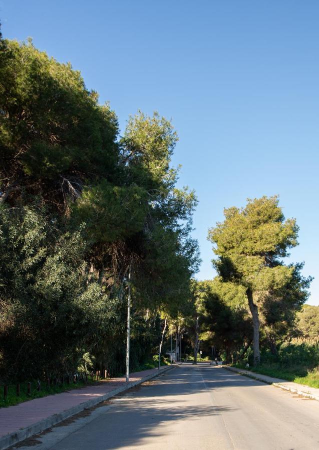 Apartamento Open View Pinetree Penthouse Dehesa de Dehesa de Campoamor Exterior foto